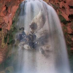 Meet your Posher, Antonio